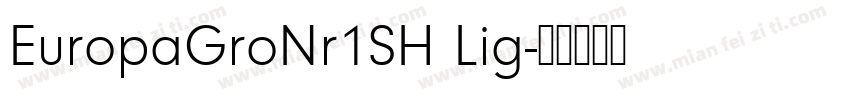 EuropaGroNr1SH Lig字体转换